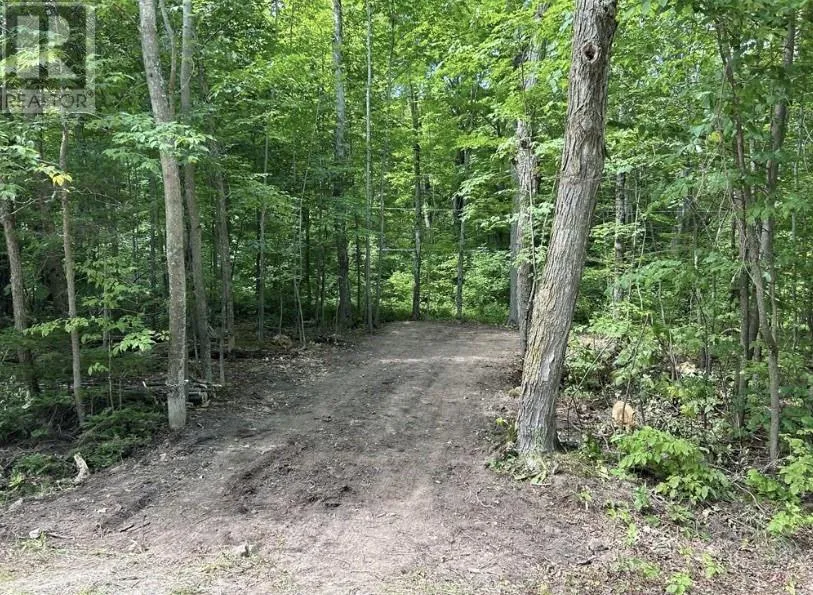 N/a Monument Road, Spring Bay, Ontario P0P 2N0