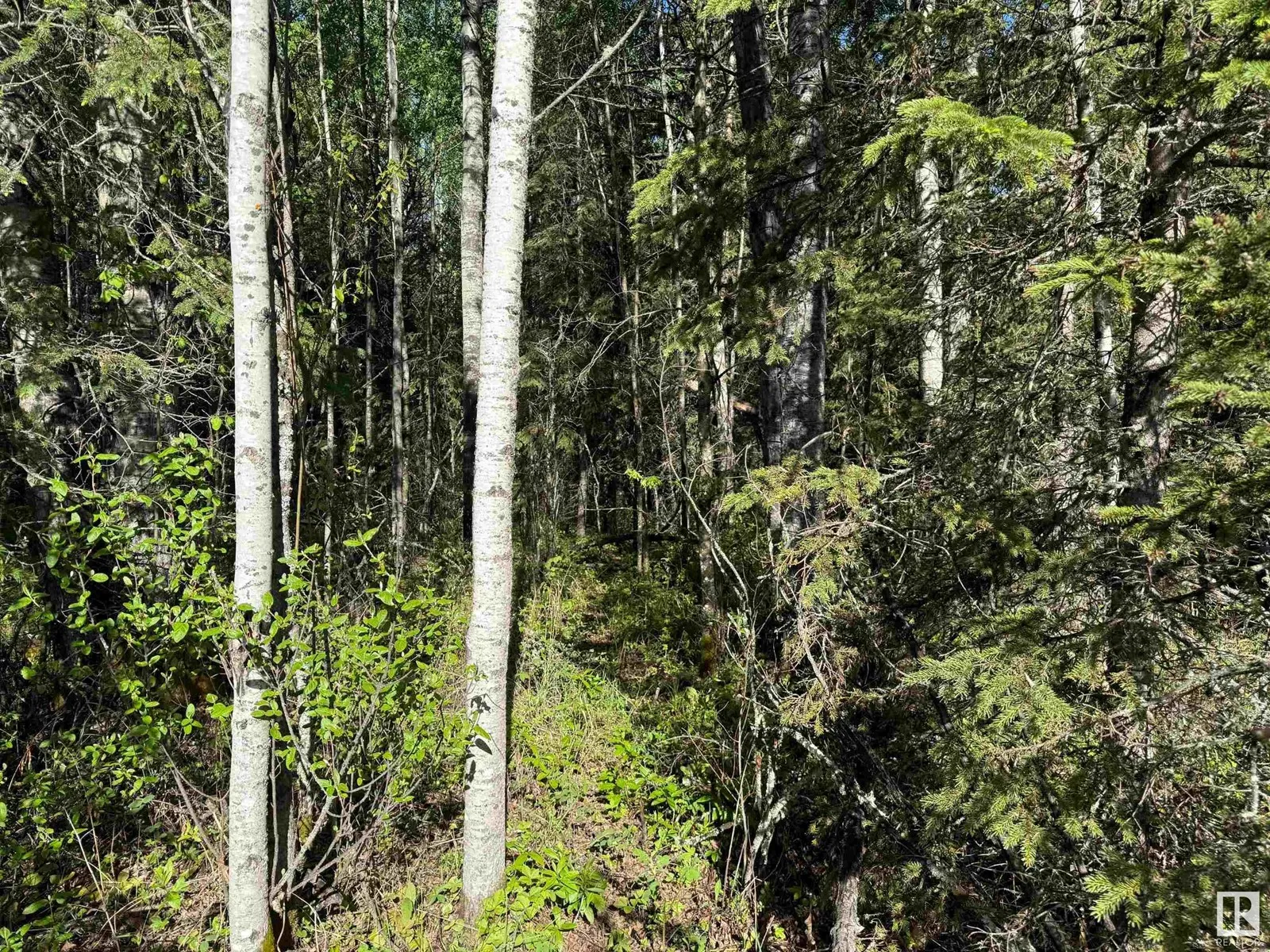 No Building for rent: Ne-6-64- 22-w Of 4, Rural Athabasca County, Alberta T0G 0R0