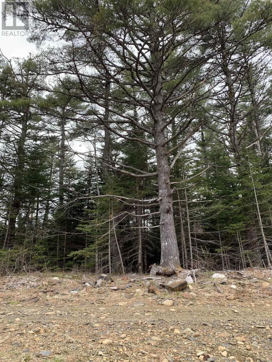 No 103 Highway, Western Shore, Nova Scotia B0J 3M0