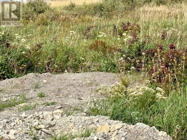 North Triangle - 0 Highway 11 North Highway, Englehart, Ontario P0J 1H0