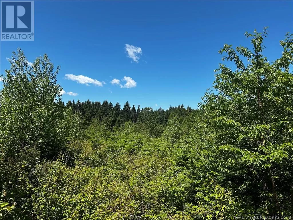 Old Gardner Creek Road, Rowley, New Brunswick E2S 0E9