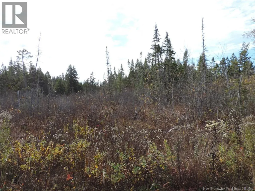 Old Gardner Creek Road, Rowley, New Brunswick E2S 2C8