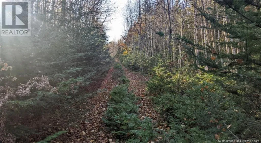 Recreational for rent: Old Great Road, Hopewell Cape, New Brunswick E4H 3J6