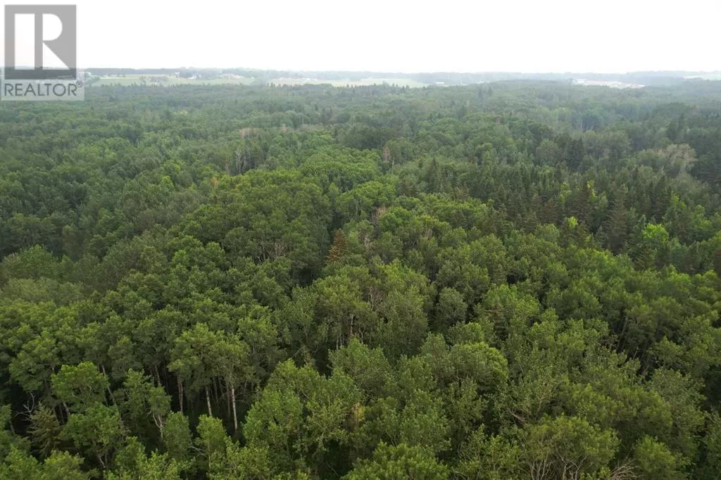 On Range Road 14, Rural Ponoka County, Alberta T0C 2J0