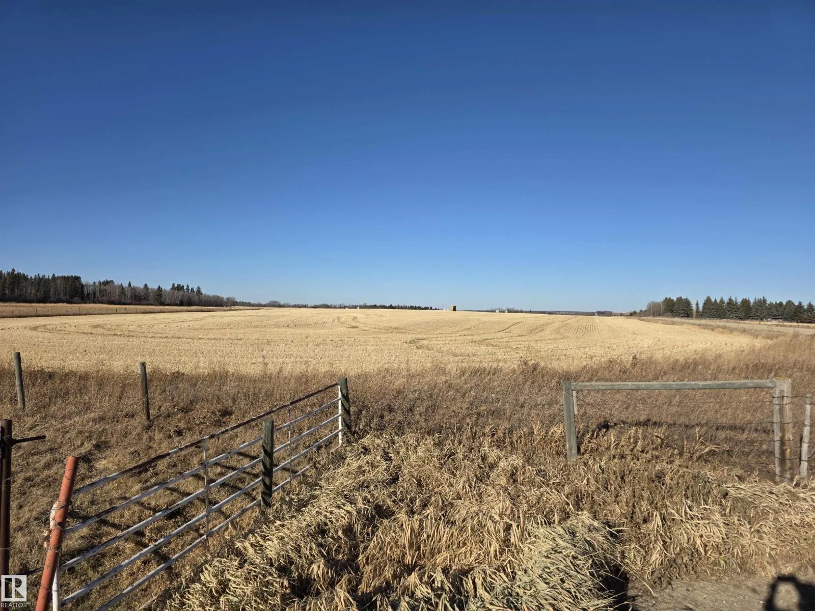No Building for rent: On Range Road 15, Rural Lacombe County, Alberta T0C 0J0