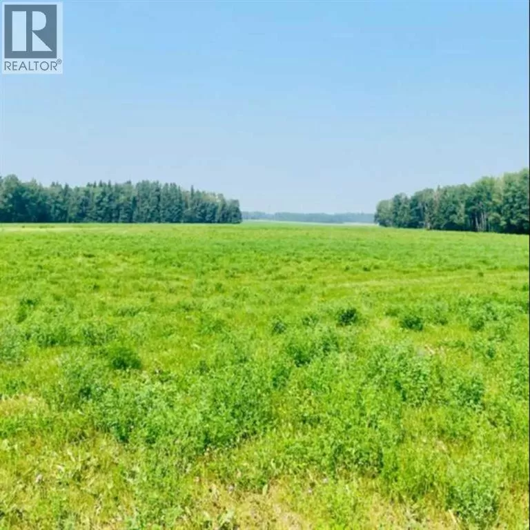 On Range Road 6-0, Rural Clearwater County, Alberta T0M 0C0