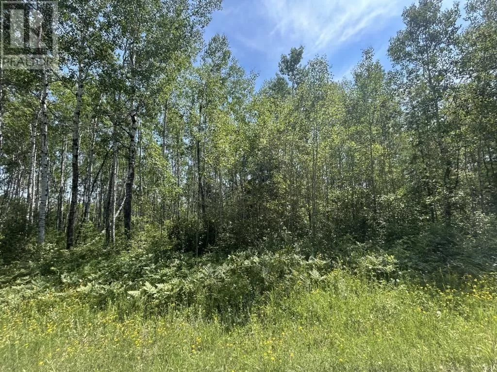 Parcel 19523 Barnhardt Road, Emo, Ontario P0W 1E0