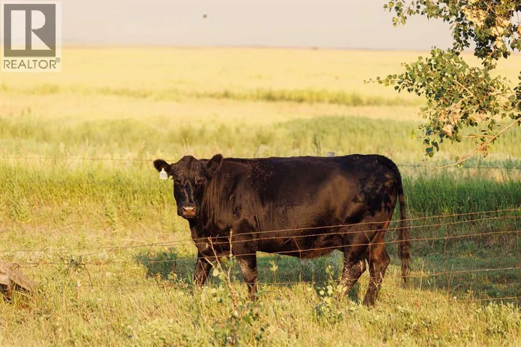 Parcel 7 Range Road 271 Just South Of Highway 9., Rural Rocky View County, Alberta T0M 1G0