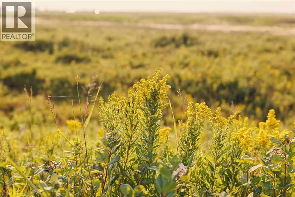 Parcel 8 Range Road 271 Just South Of Highway 9., Rural Rocky View County, Alberta T0M 1G0