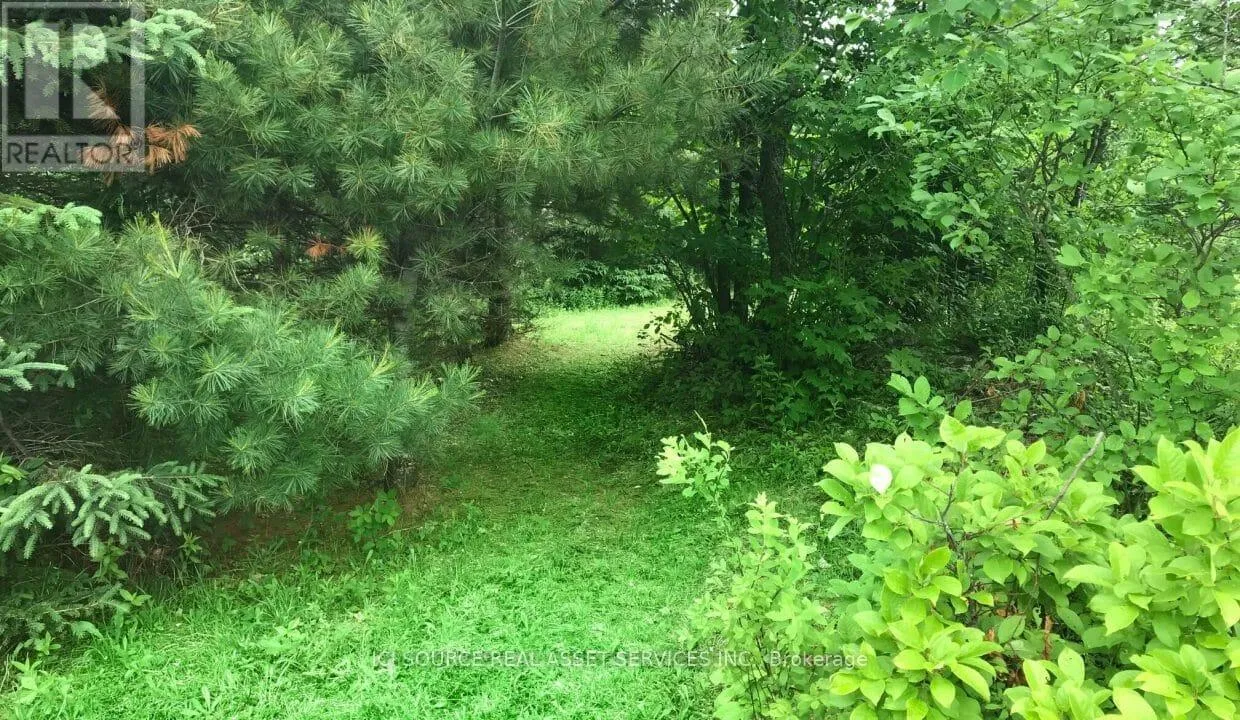 Parcel B - 00 Rye Road, South River, Ontario P0A 1X0