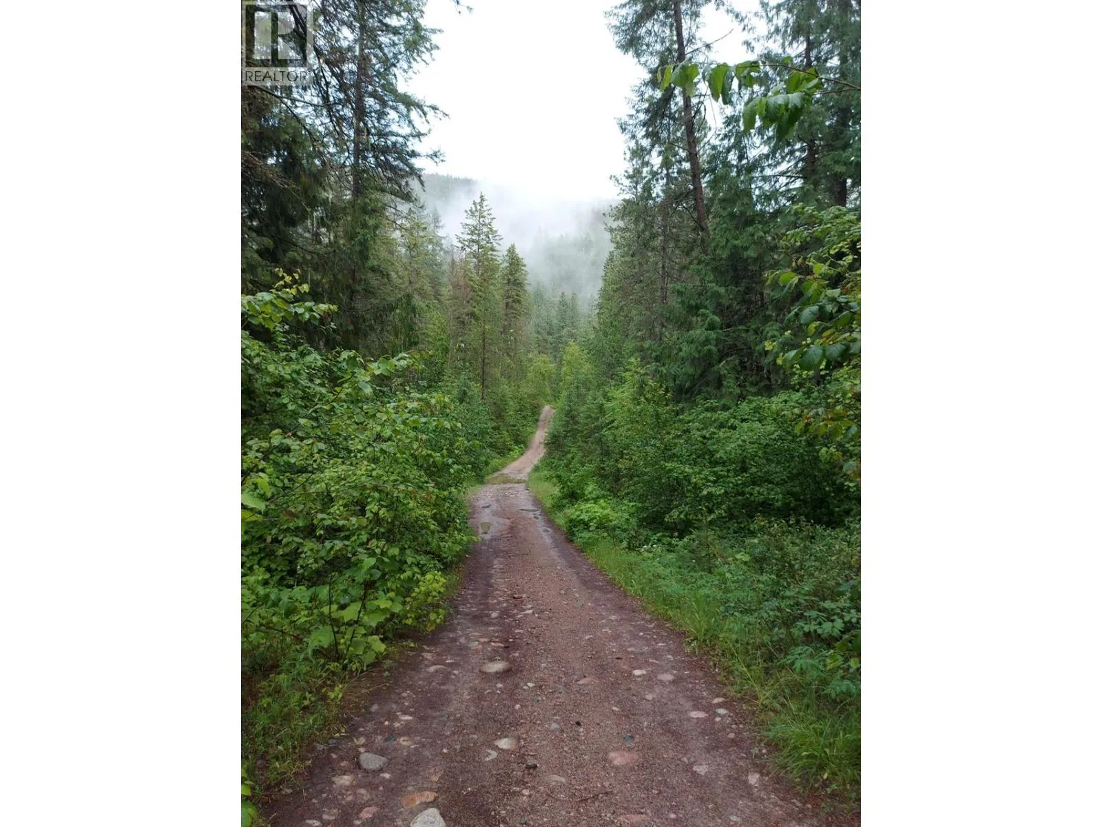 Other for rent: Parcel B Renata Forestry Road, Renata, British Columbia V1N 4V8