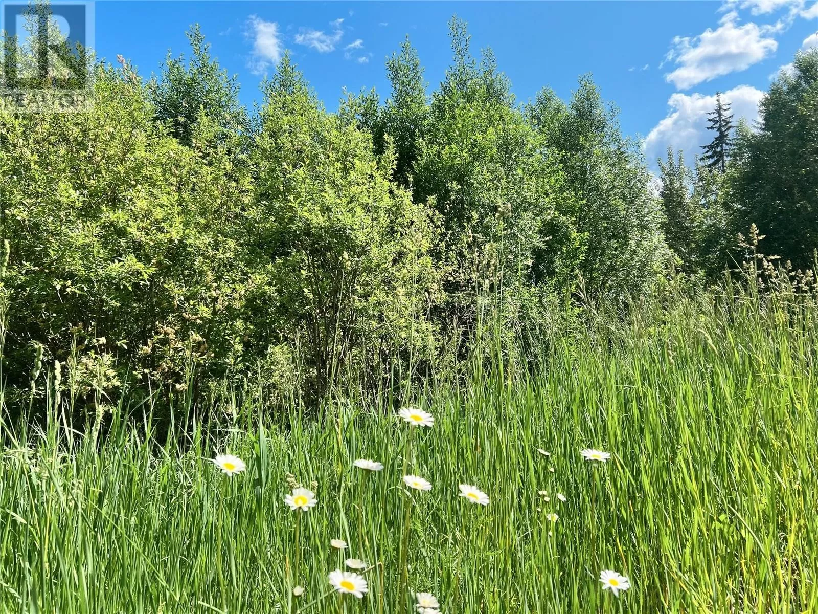 Other for rent: Parcel F Railway Avenue, Salmo, British Columbia V0G 1Z0