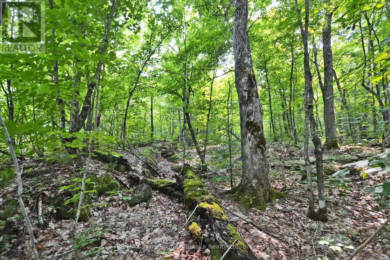 Part 2 - 0 Lyndsey Lane, McKellar, Ontario P2A 0B5