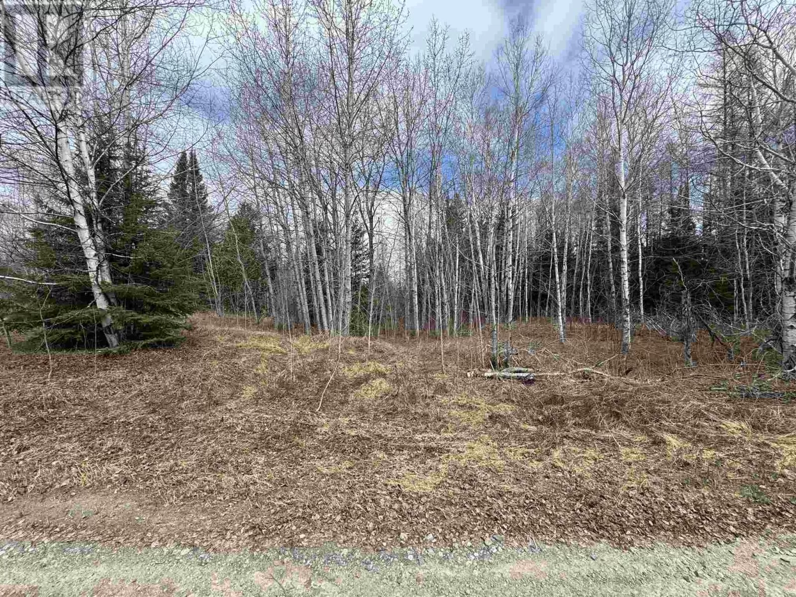 Pcl 13428 Line Mac Rd, Nemegos, Ontario P0M 1K0