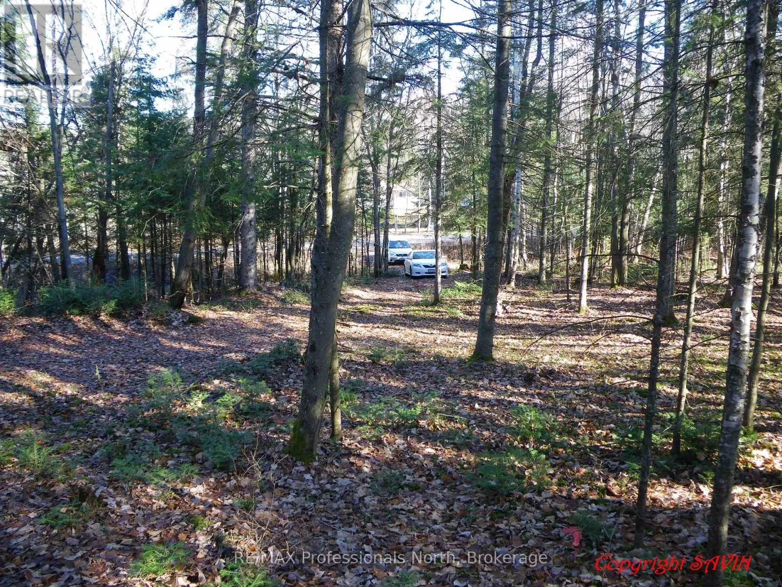 Pcl 20438 & 29803 Upper Walker Lake Rd Road, Lake of Bays, Ontario P1H 2J6