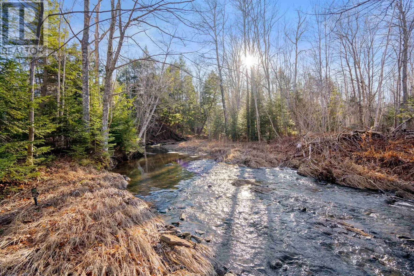 Pine Tree Road, Pine Tree, Nova Scotia B0K 1W0