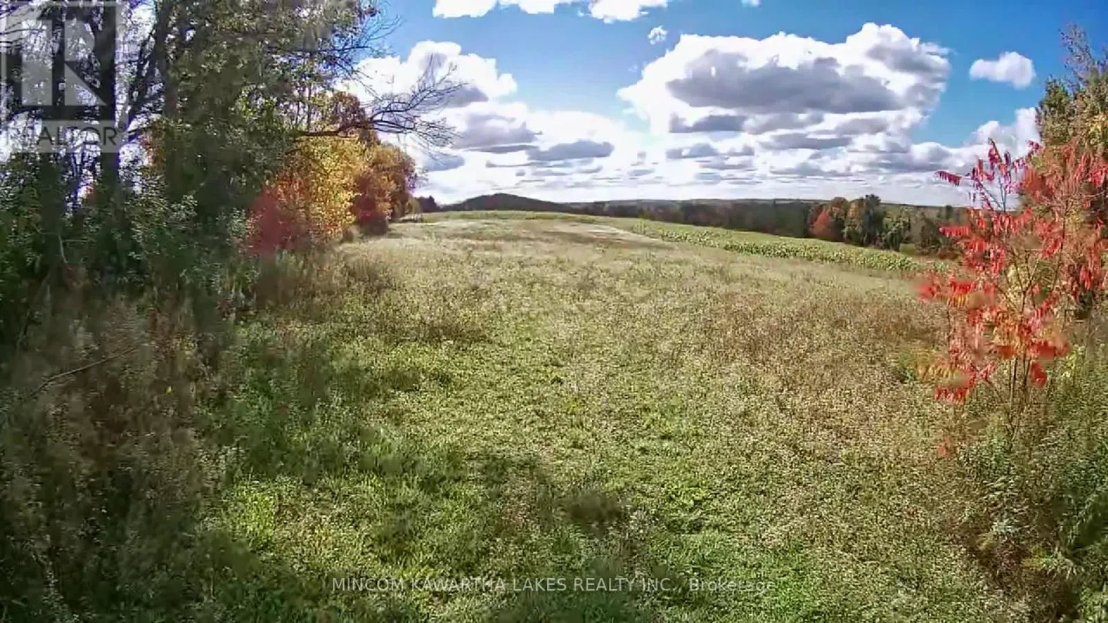 Pl 15 Base Line, Otonabee-South Monaghan, Ontario K0L 2G0