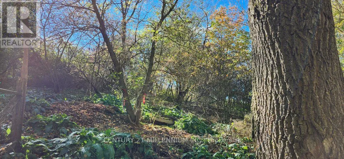 Plan 4a Blk 3 Lot 10 Mill Street, Amaranth, Ontario L9W 3Z3