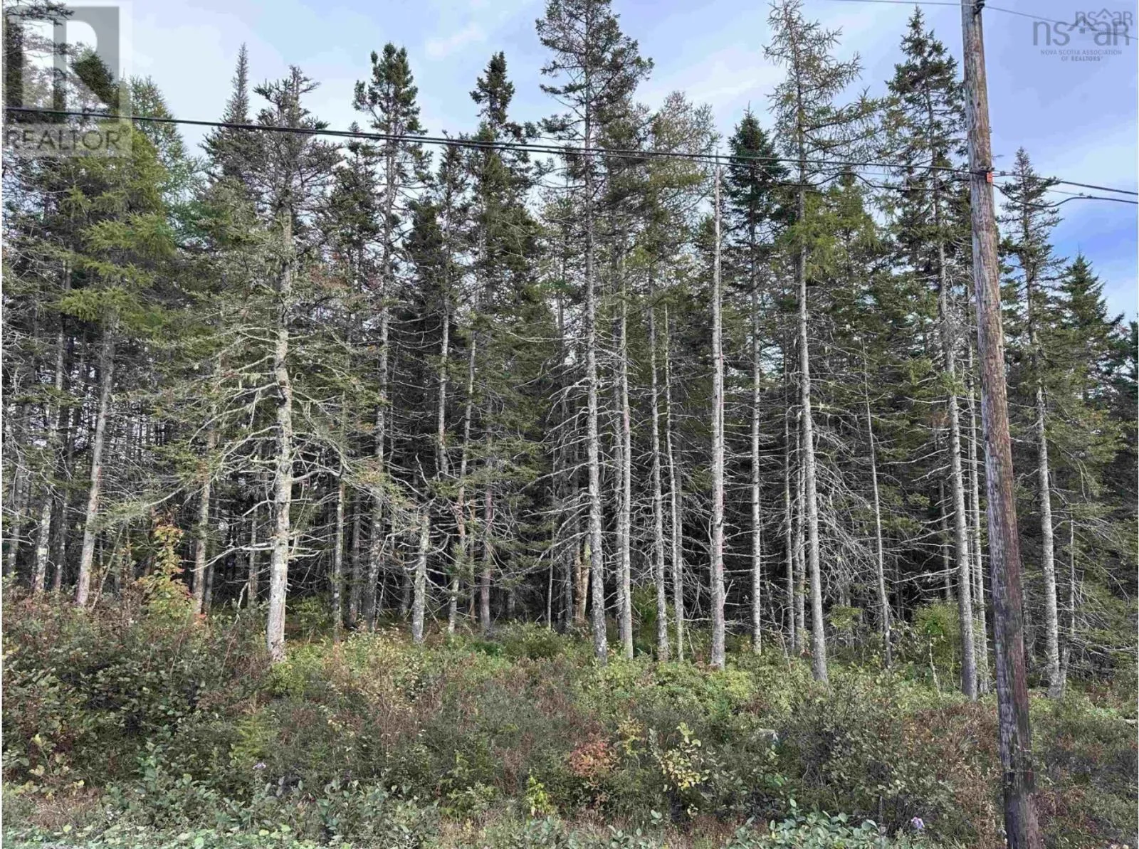 Point View Road, Louisdale, Nova Scotia B0E 1V0