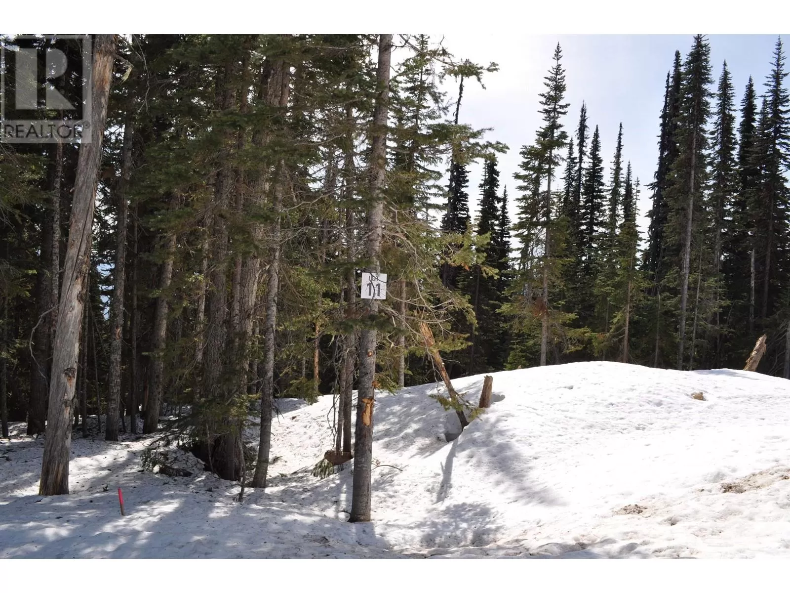 Pr. St Lt 11 Alpine Way, Smithers, British Columbia V0J 2N0