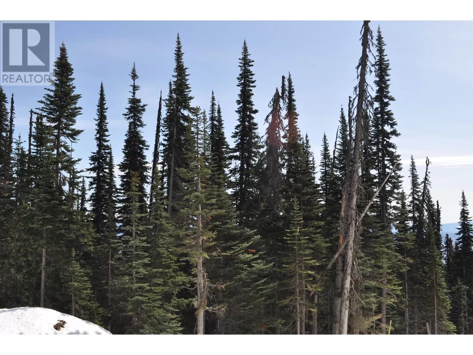 Pr. St Lt 8 Alpine Way, Smithers, British Columbia V0J 2N0