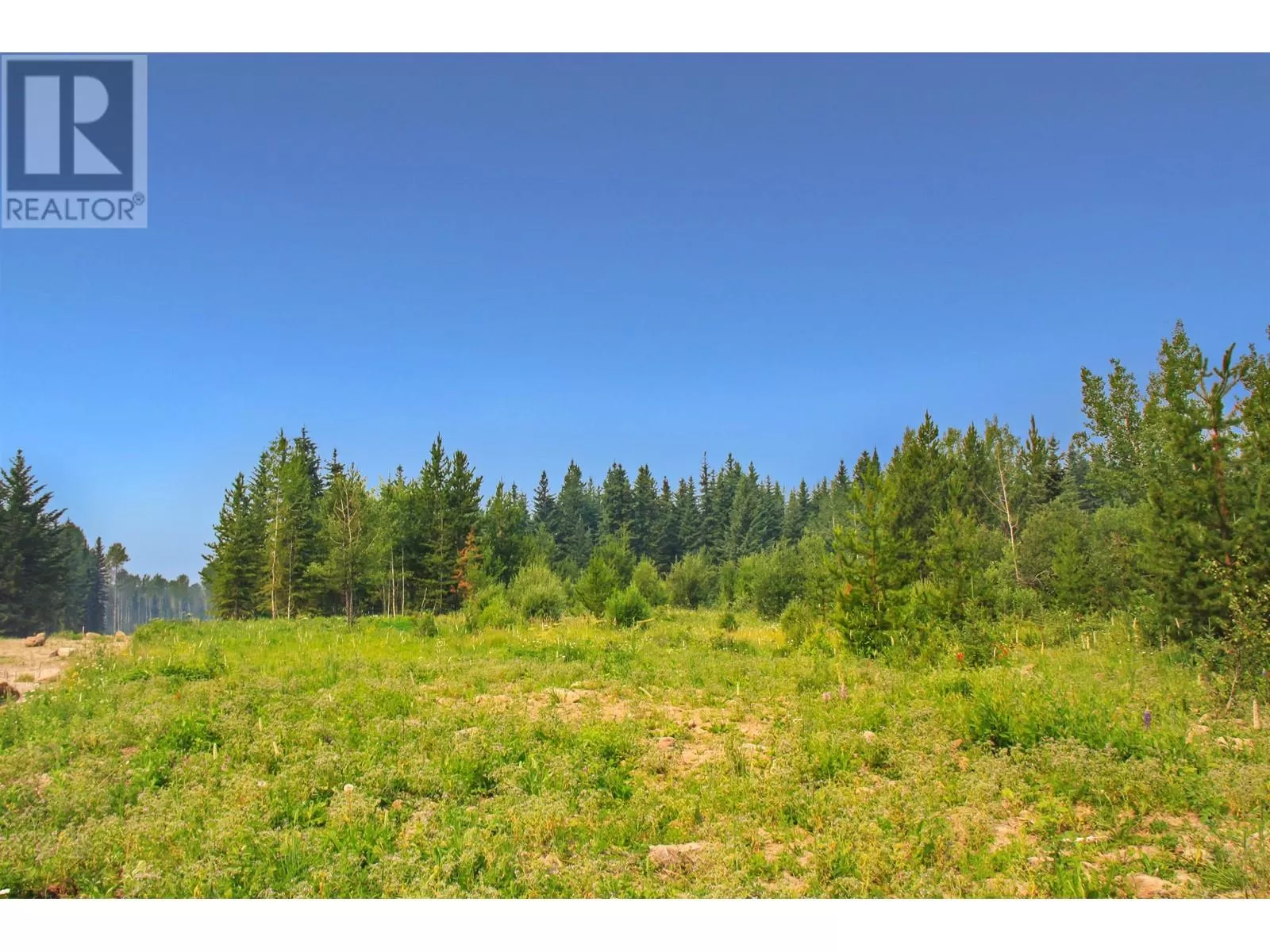 Prop Lot 2 Brown Road, Bridge Lake, British Columbia V0K 1E0