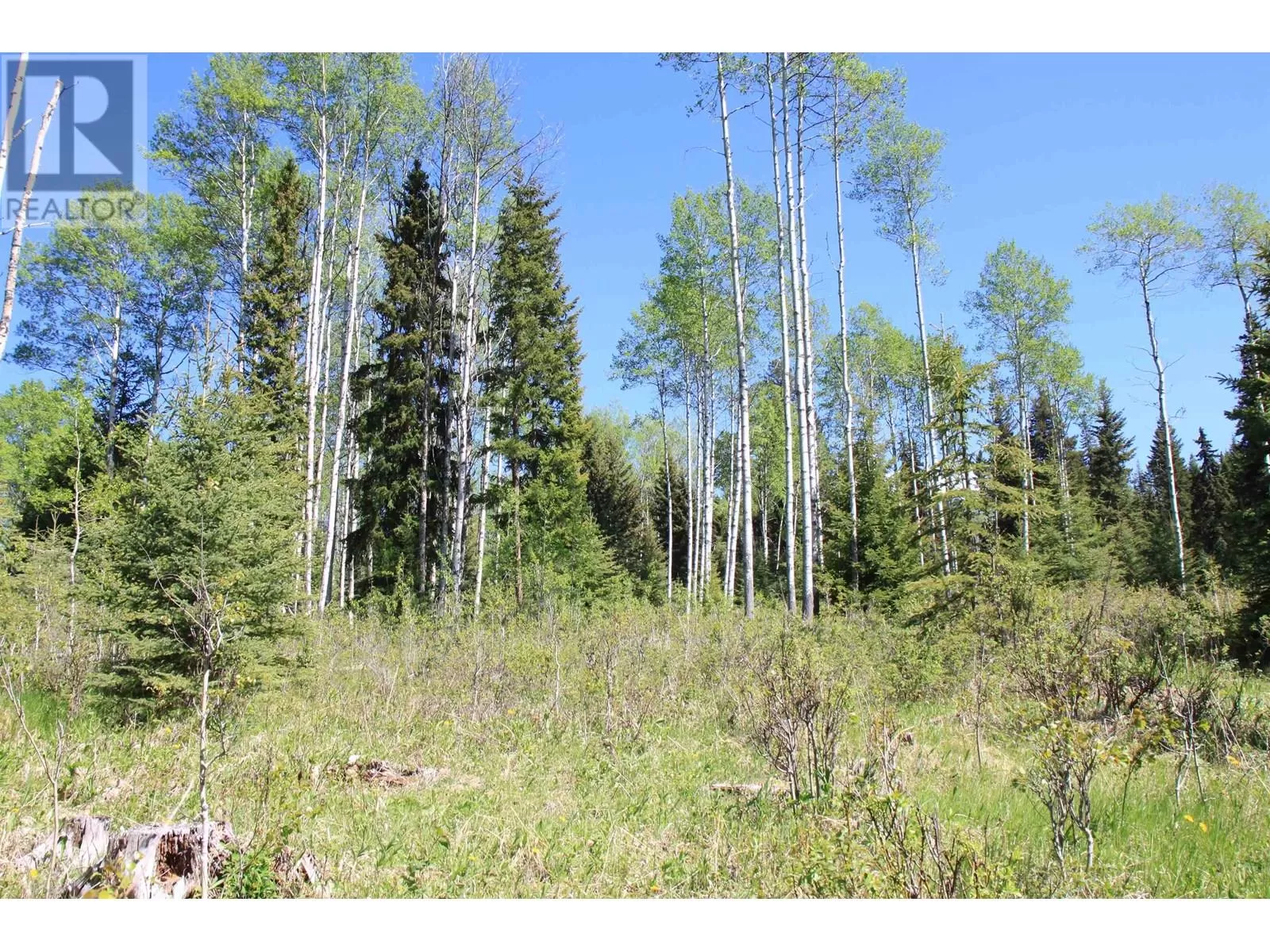 Prop Lot 21 Brown Road, Bridge Lake, British Columbia V0K 1E0