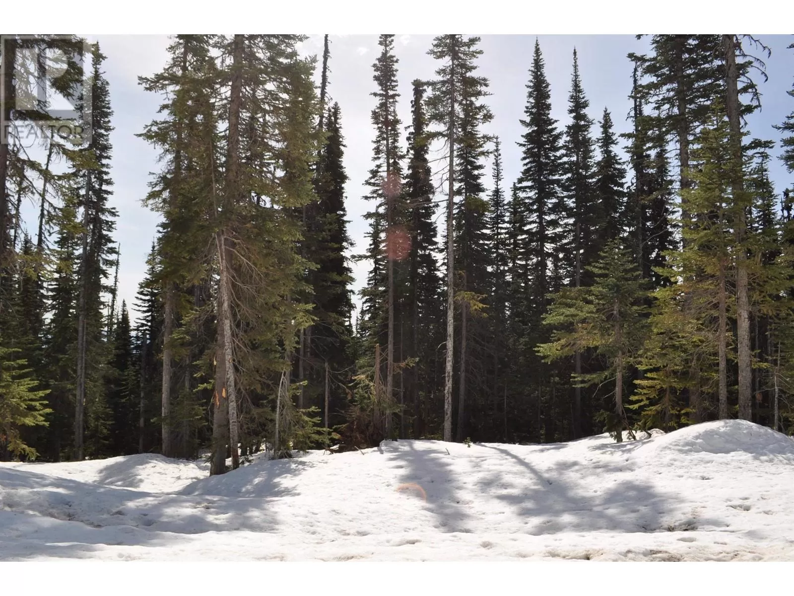 Pst Lot-12 Alpine Way, Smithers, British Columbia V0J 2N0