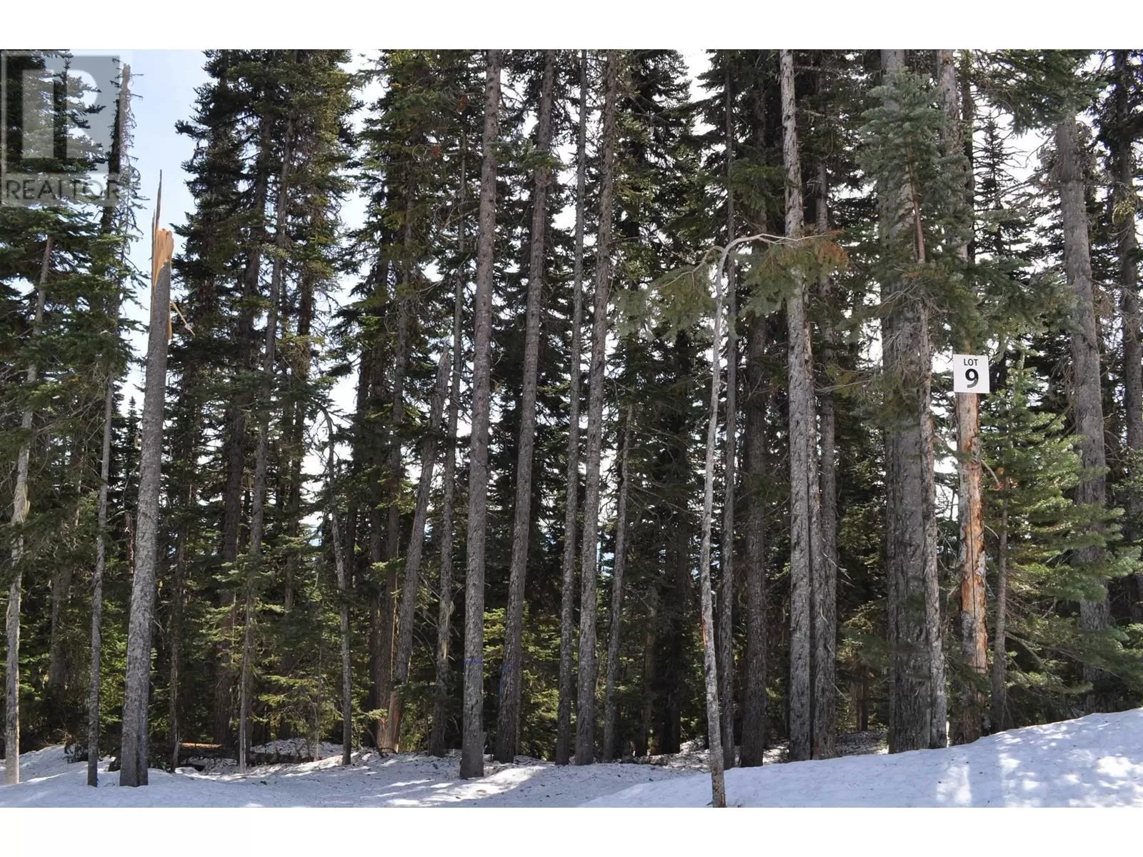 Pst Lot-9 Alpine Way, Smithers, British Columbia V0J 2N0