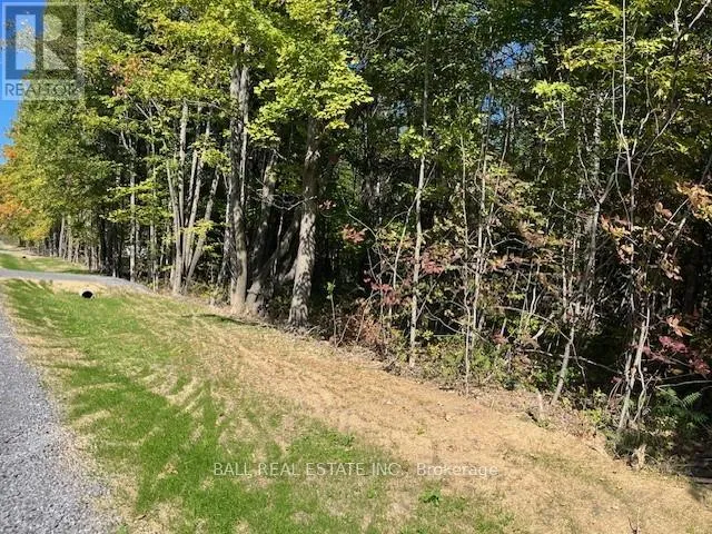 Pt 33a & Pt 33b Autumn Road N, Trent Hills, Ontario K0K 3K0