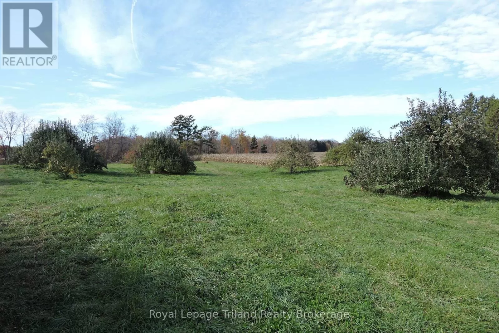 Pt Lot 15 Con 1 Main Street N, Norwich, Ontario N0J 1C0