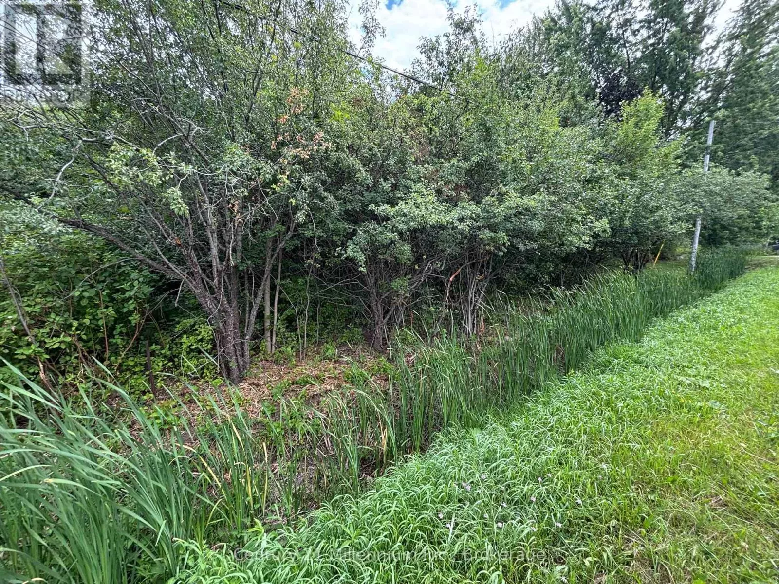 Pt Lt 10 3rd Line, Meaford, Ontario N4L 1W7