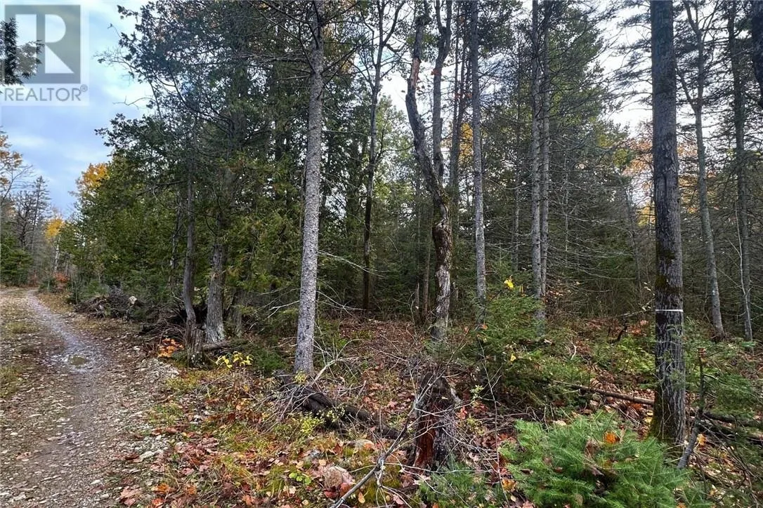 Pt Lt 16 Con 4 Green Bush Road, Little Current, Ontario P0P 1K0