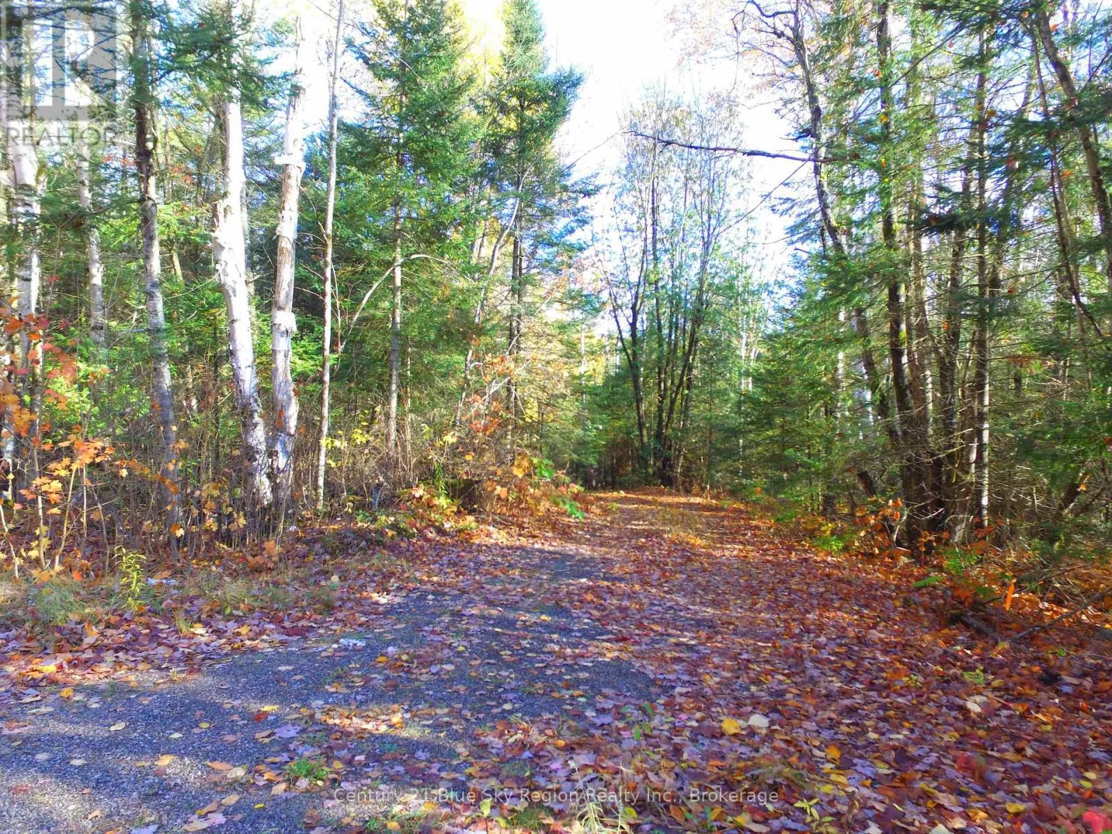 Pt Lt 2 Con 4 Mcfadden Line, Parry Sound Remote Area, Ontario P0H 2L0