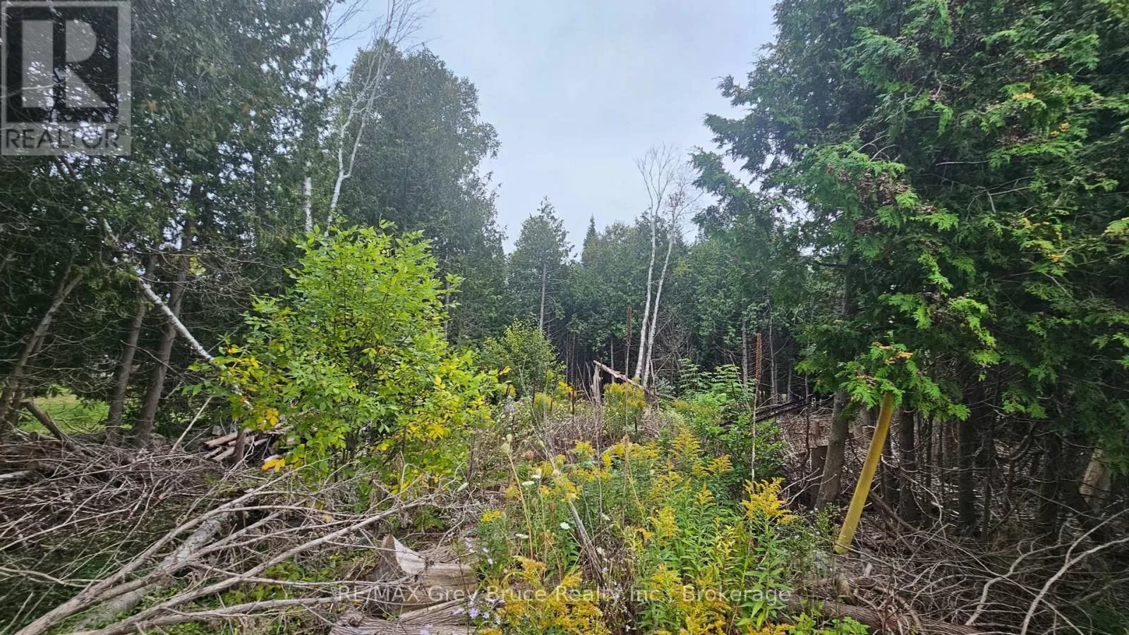 Pt Lt 23 Con 2 Wbr Pt 1 Highway 6 Highway, Northern Bruce Peninsula, Ontario N0H 1Z0