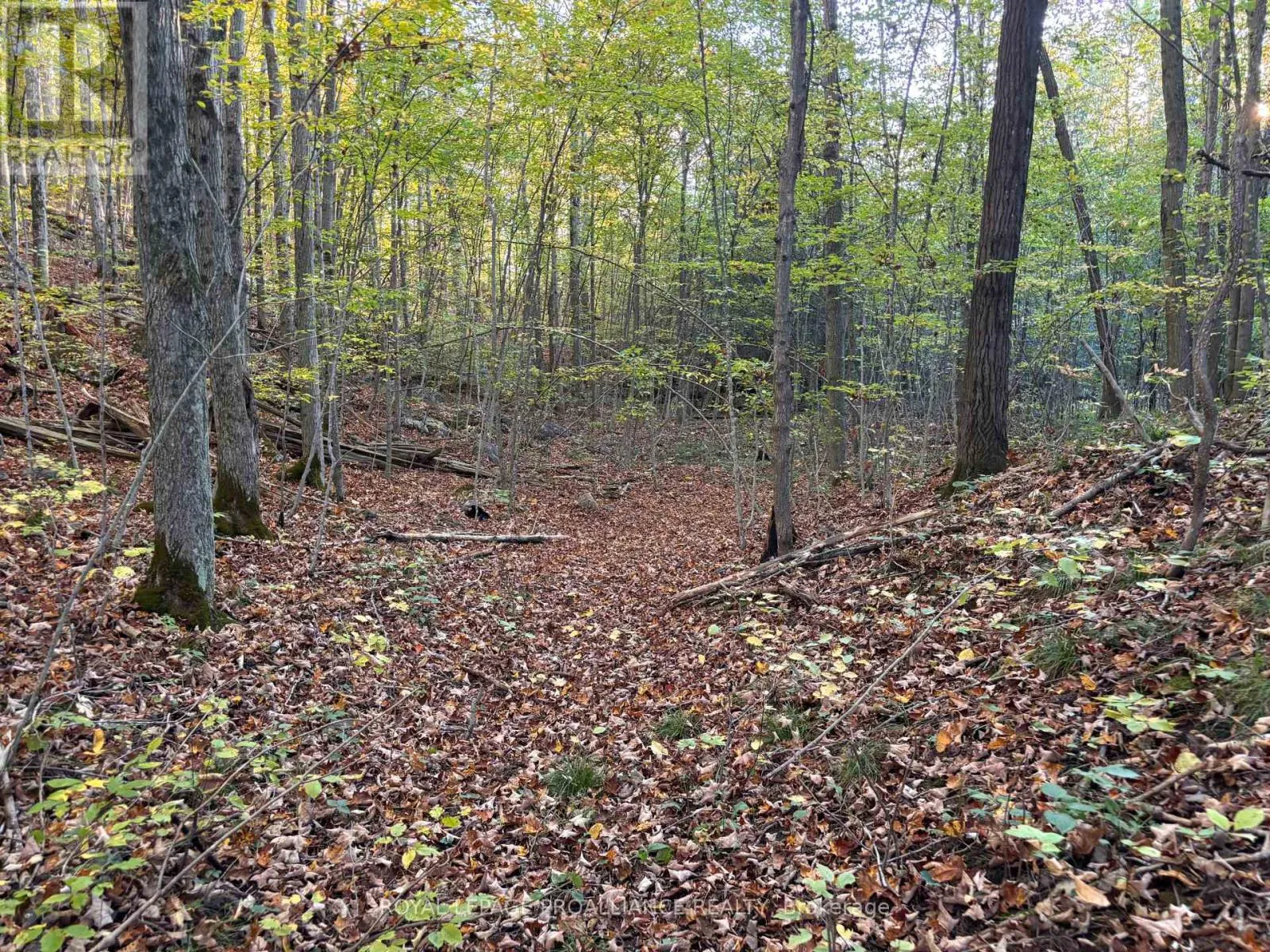 Pt Lt 29-30 Naphan Road, Tyendinaga, Ontario K0K 2Y0