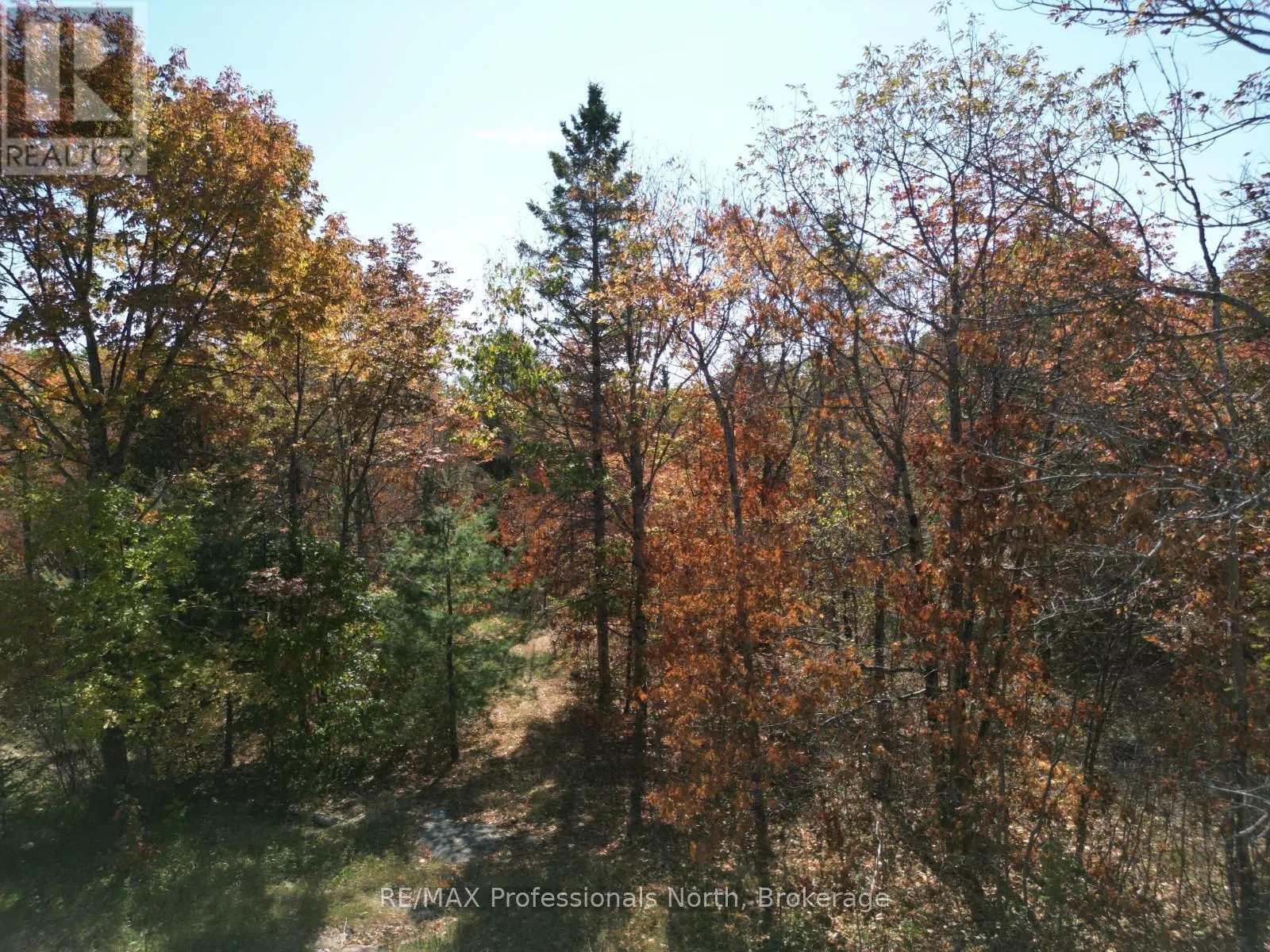 Pt Lt 35 Con 7 Glamor Lake Road, Highlands East, Ontario K0M 1R0