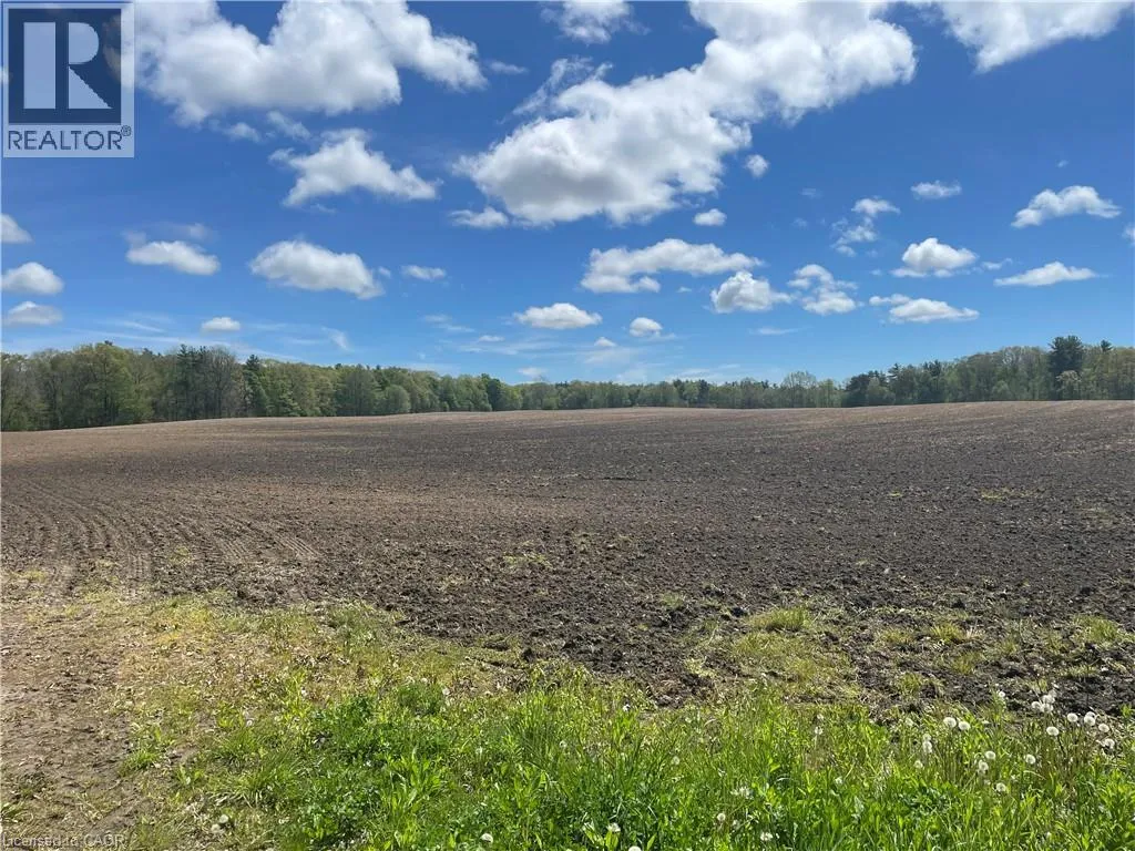 Pt Lt 4 Concession 10 Rd, Lynedoch, Ontario N4B 2W4
