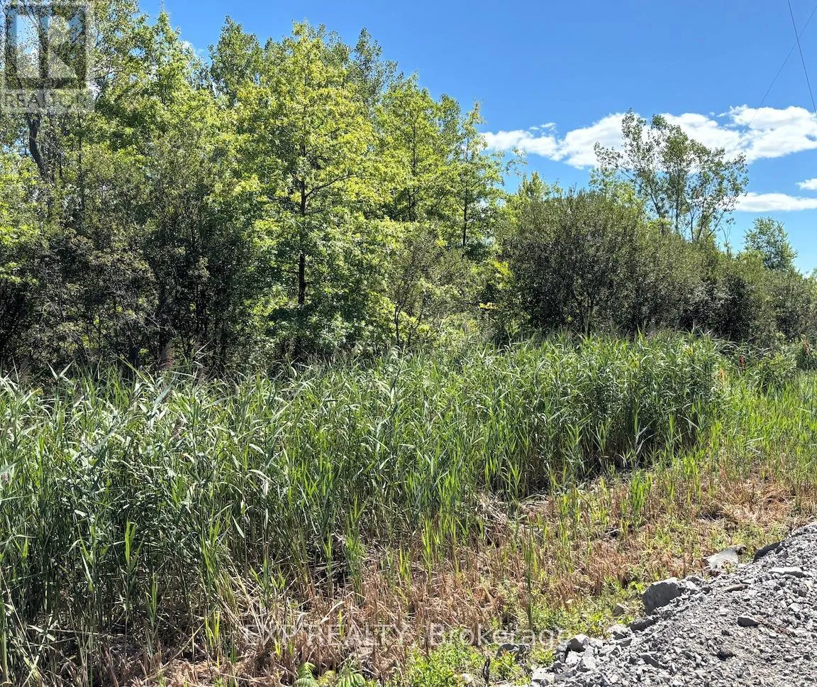 Pt Lt 4 Ramey Road, Port Colborne, Ontario L0S 1N0