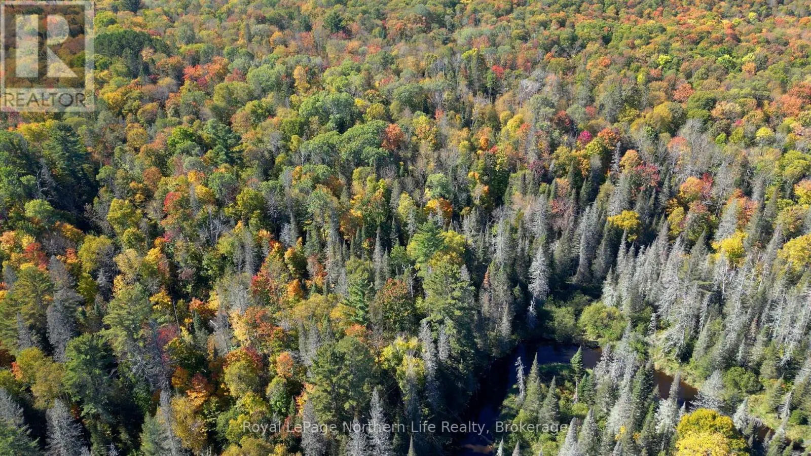 Pt Lt 5 Con 14 South Horn Lake Road, Armour, Ontario P0A 1C0