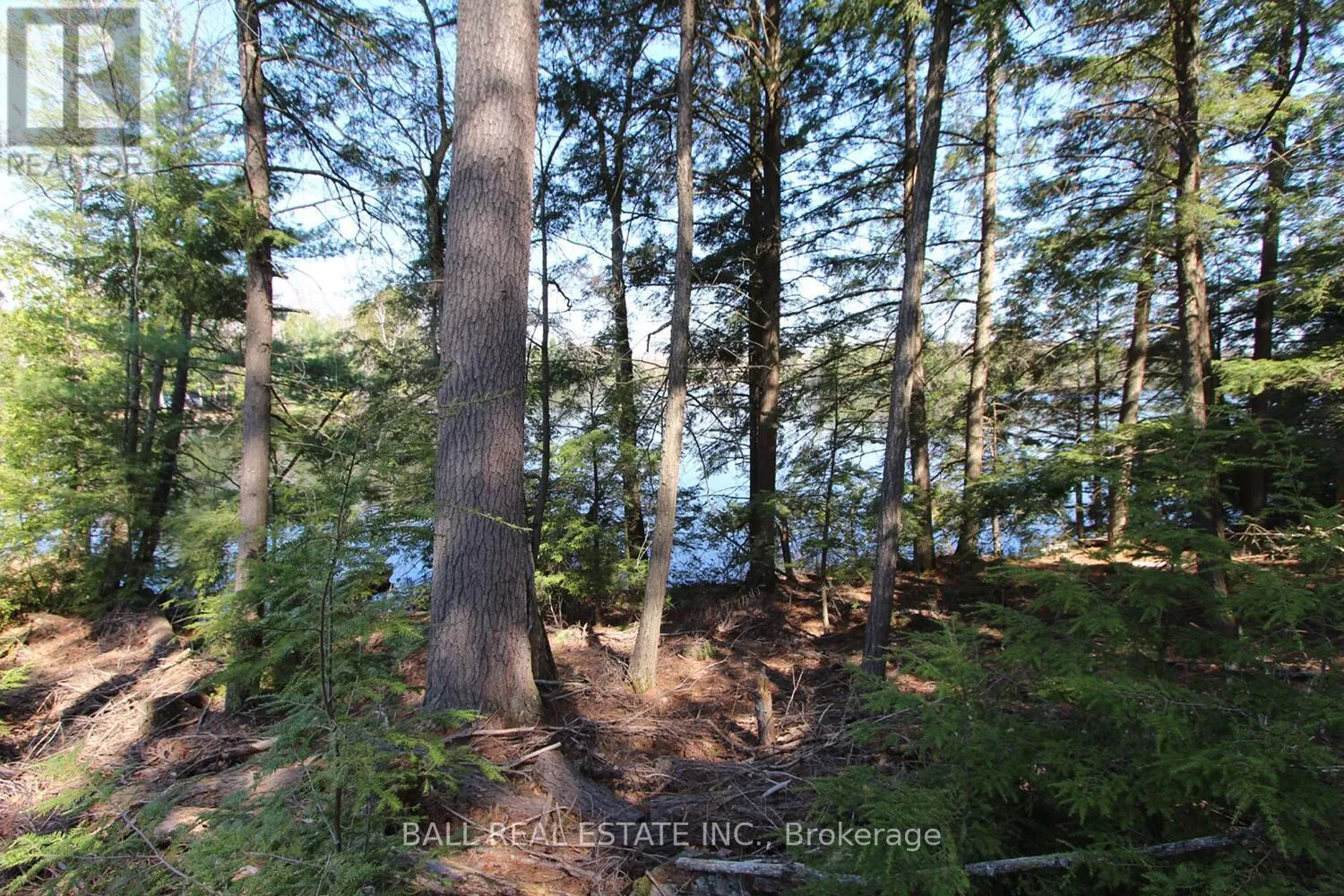 Pt2&3 Fire Route 223, Trent Lakes, Ontario K0L 1J0