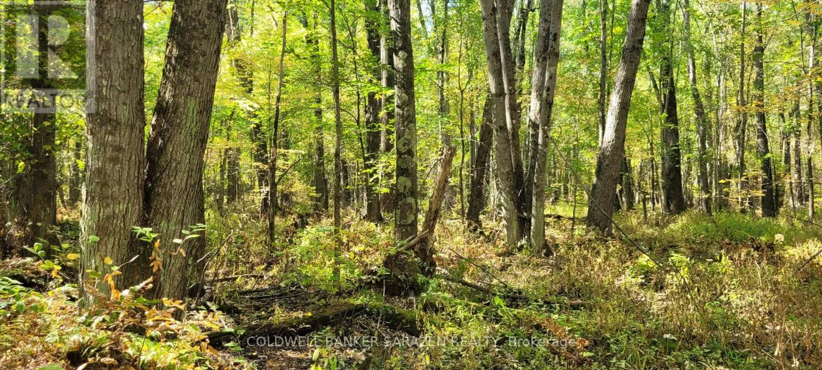 Pt/lot 21 Concession 3 Road, Drummond/North Elmsley, Ontario K7H 3C7