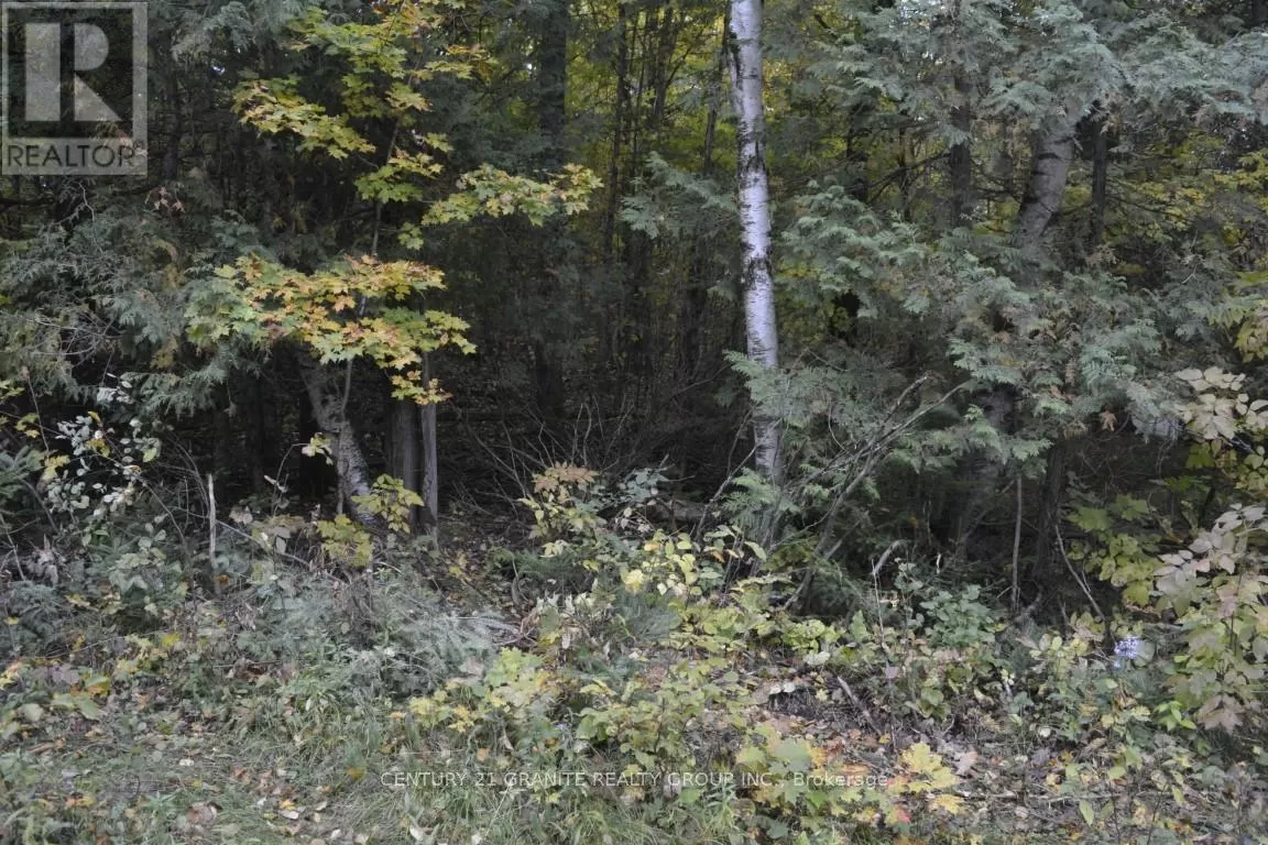 Ptlt 61 Old Hastings Road, Wollaston, Ontario K0L 1P0