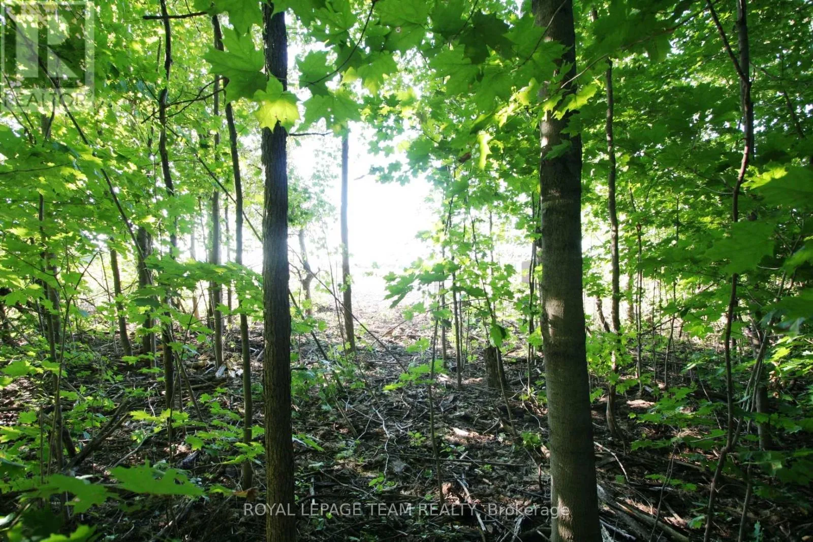 Ptlt31 Pleasant Valley Road, South Dundas, Ontario K0E 1W0