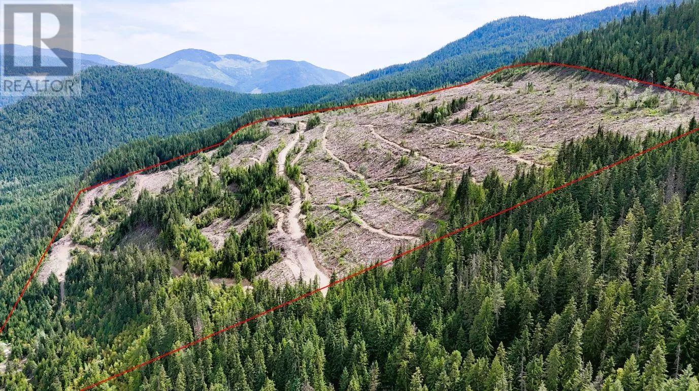 Other for rent: Quartz Creek Forest Service Road Road Lot# Parcel A, Ymir, British Columbia V0G 2K0