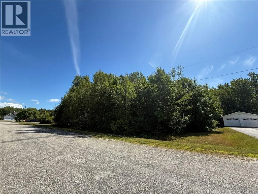 Quinn Street, Miramichi, New Brunswick E1V 6J4