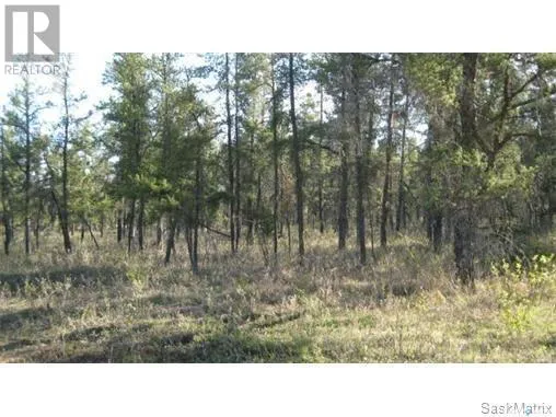 Unknown for rent: Rec Lot 5 Blk 2, Hudson Bay Rm No. 394, Saskatchewan S0E 0Y0