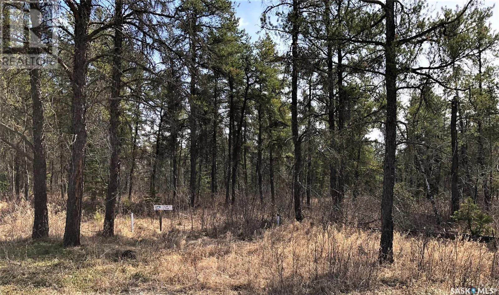 Unknown for rent: Reclot 2 Blk 2, Hudson Bay Rm No. 394, Saskatchewan S0E 0Y0