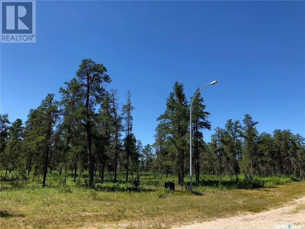 Unknown for rent: Reclot 6 Blk 2, Hudson Bay Rm No. 394, Saskatchewan S0E 0Y0