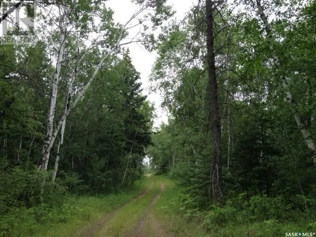 Unknown for rent: Regional Park Lot 2-3, Hudson Bay Rm No. 394, Saskatchewan S0E 0Y0